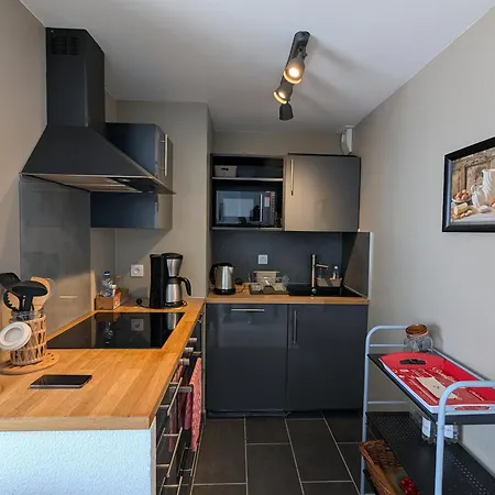 Apartamento Centre : T2 Avec Loggia, Parking Securise Et Proche - Fr-1-420-61 *