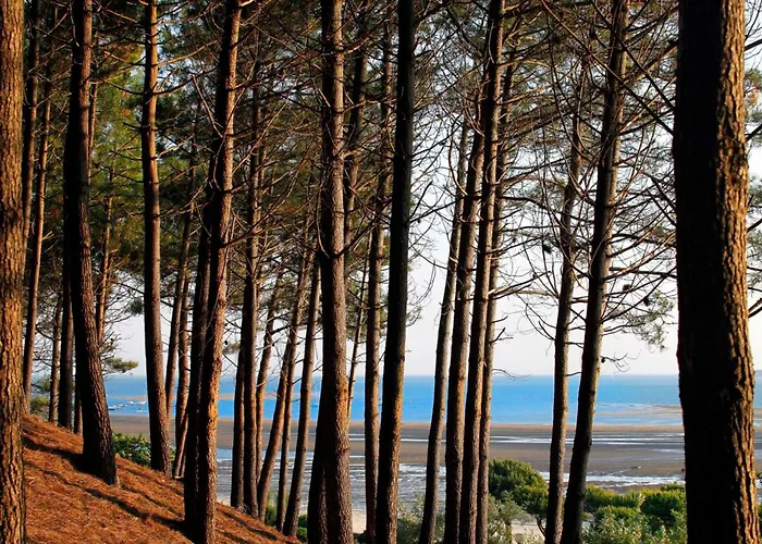 Centre : T2 Avec Loggia, Parking Securise Et Proche - Fr-1-420-61 Arcachon